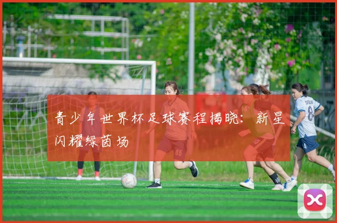 青少年世界杯足球赛程揭晓：新星闪耀绿茵场